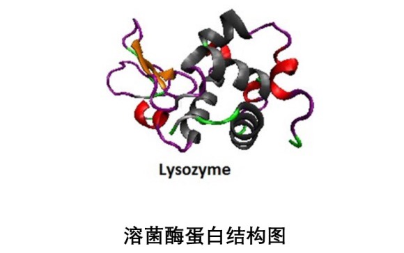 使用BeNano檢測(cè)VB1和溶菌酶的粒徑分布